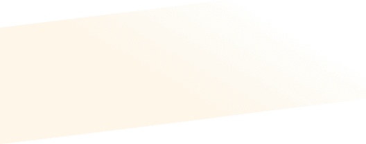 Development Process